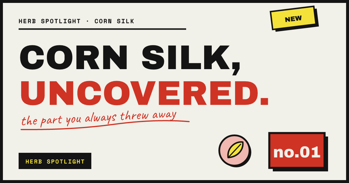 CORN SILK, UNCOVERED. — the part you always threw away