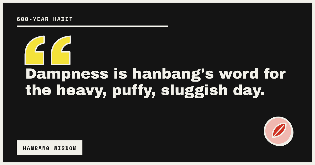 Dampness is hanbang's word for the heavy, puffy, sluggish day.