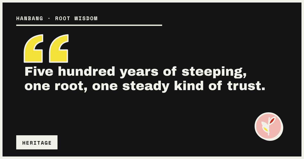 Five hundred years of steeping, one root, one steady kind of trust.