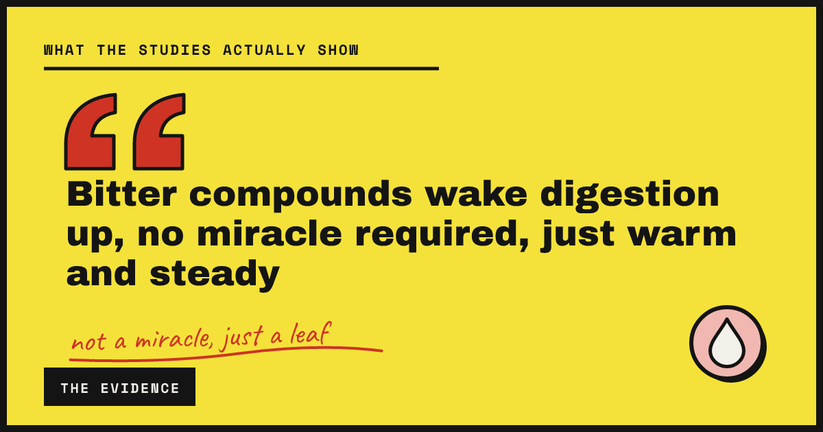 Bitter compounds wake digestion up, no miracle required, just warm and steady